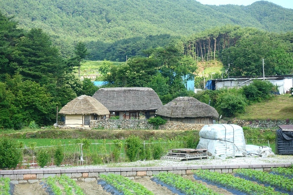 정자나무쉼터 사진 5