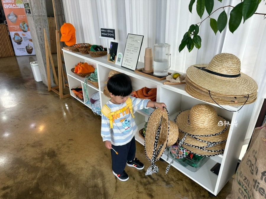보메와산 사진 5