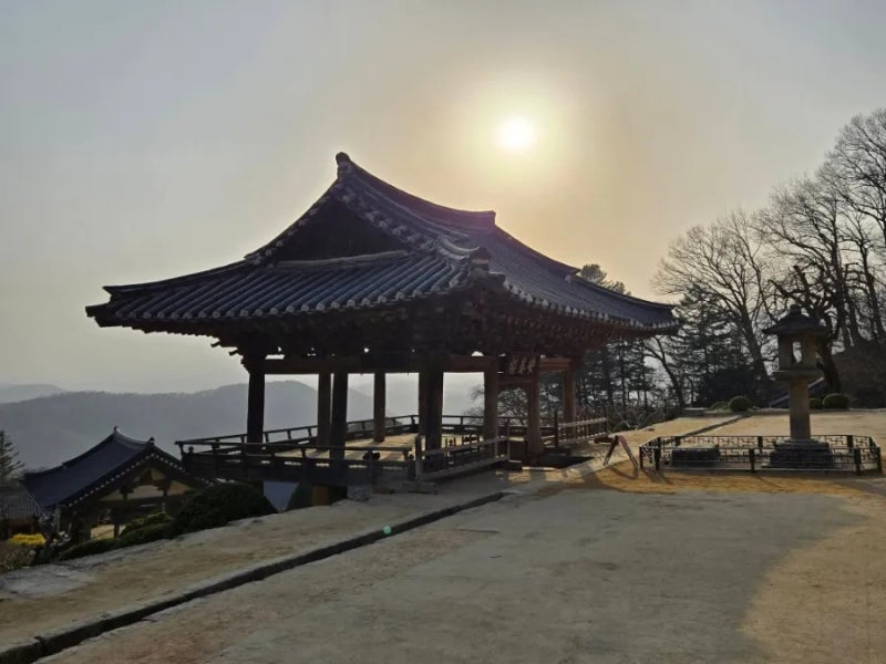 디비진 대구, 누가 나와도 김부겸이 이긴다는 여론조사 결과가 나왔다: 슬로우레터 3월26일. ....