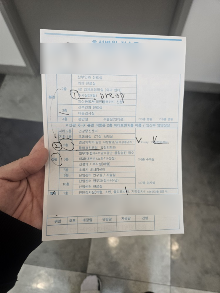  [출산] 효성병원 막달검사 및 철분주사 후기 (임신 중 빈혈 주의사항, 철분주사 부작용(불면))