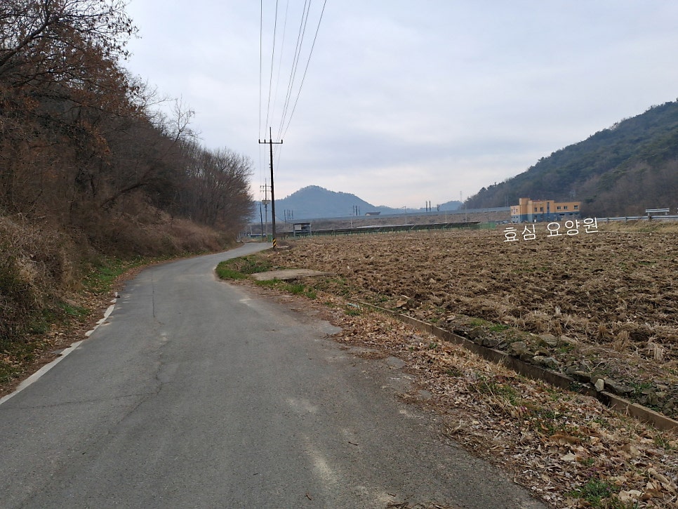 호암산 사진 3