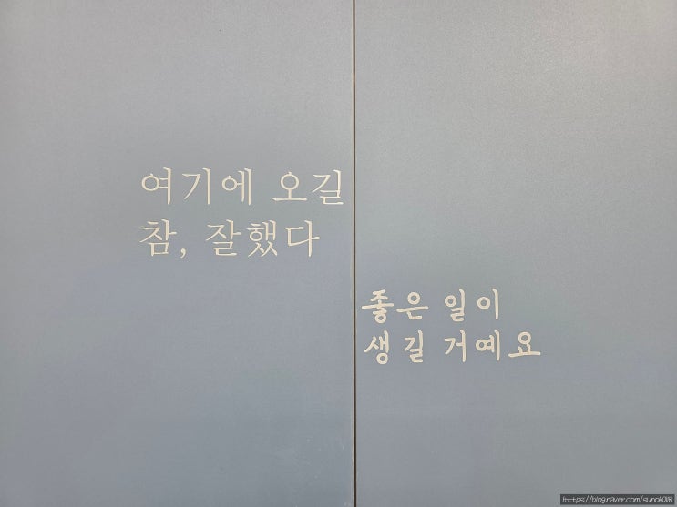 야당 에스테틱 아몬드 시그니처케어