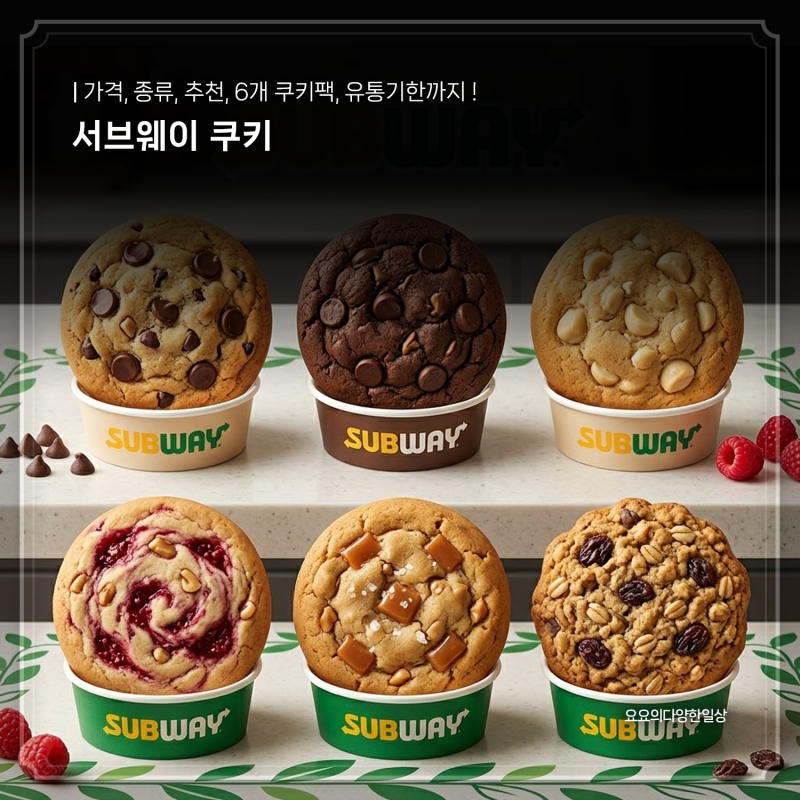 서브웨이 쿠키 6개 쿠키팩 가격은 얼마? 종류 추천 유통기한까지!