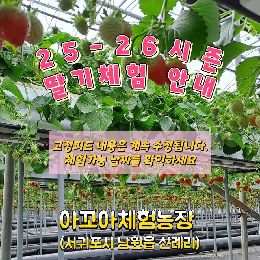 아꼬아 사진 1