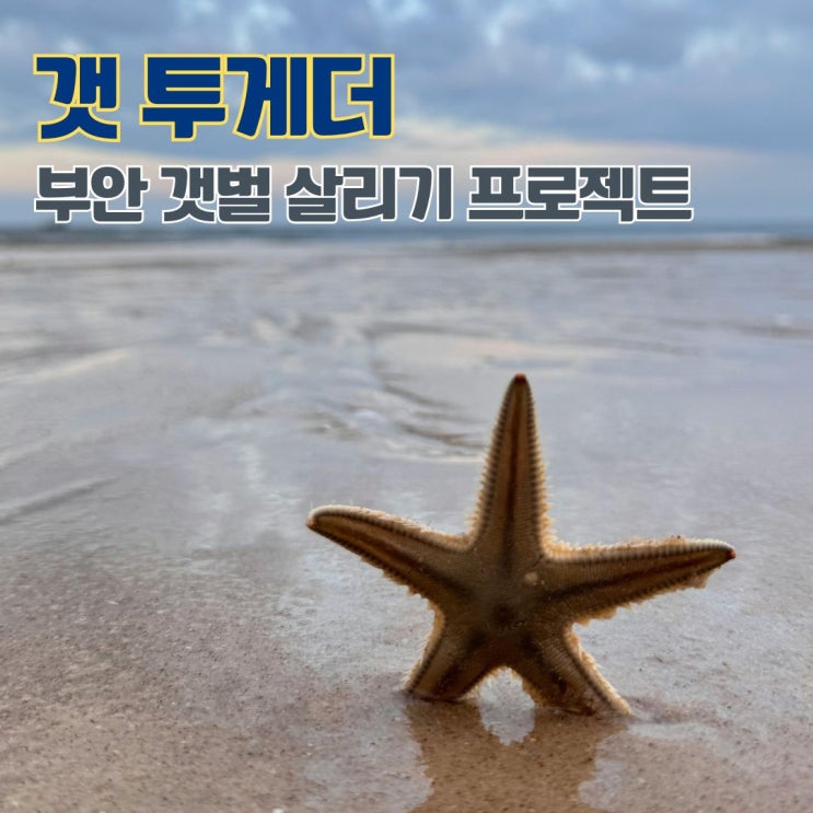  부안갯벌체험 갯벌살리기 프로젝트 '갯 투게더' 갯벌조개 마을입주