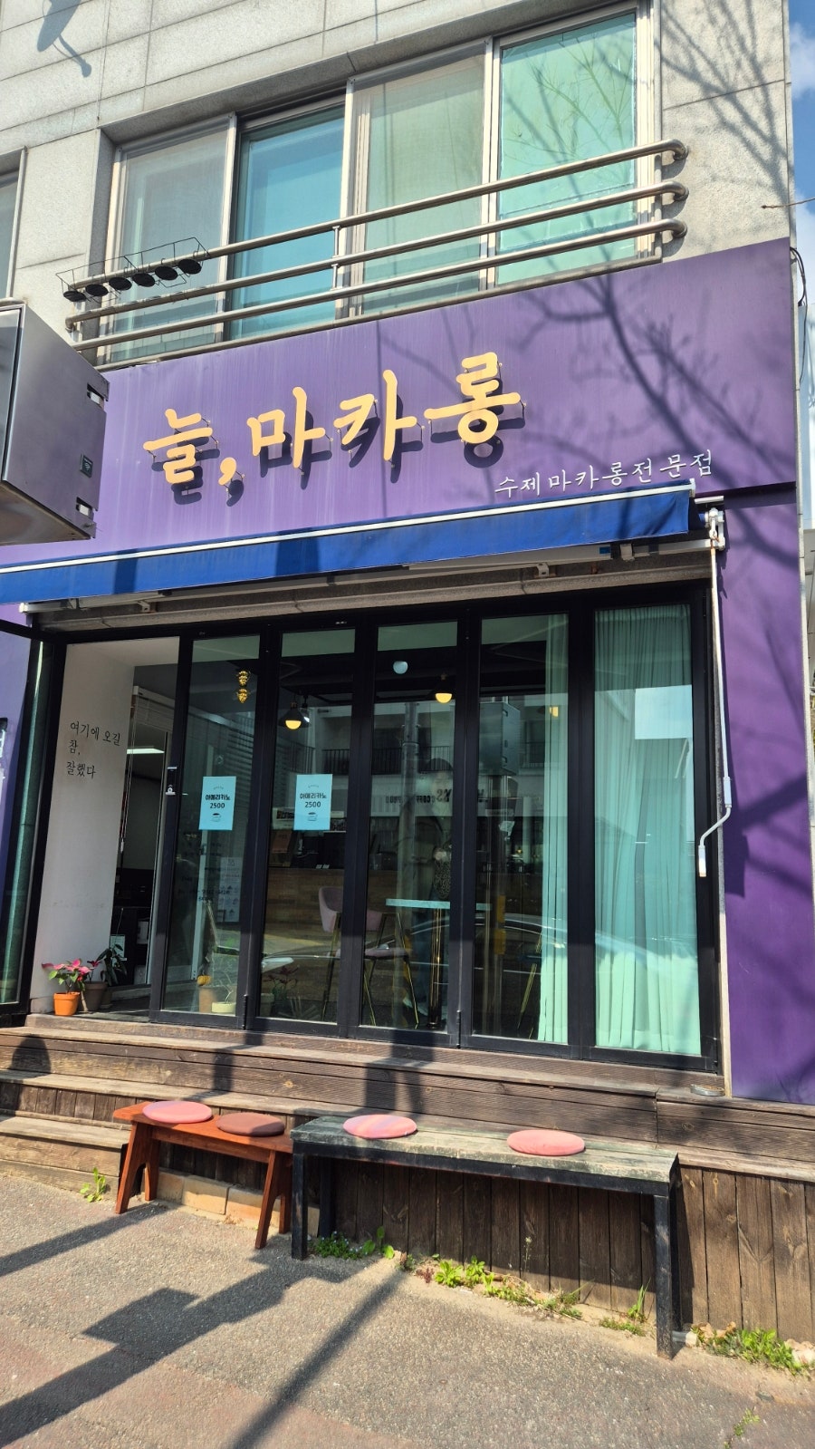 늘마카롱 사진 2