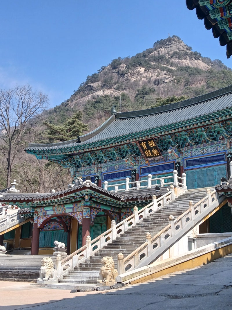 사진 3
