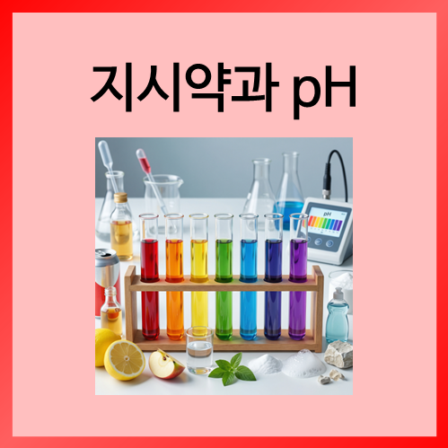  [중등화학]지시약과 pH