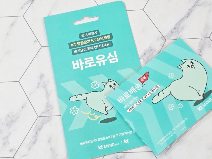  인천선불폰 핸드폰 요금 한달 미납이라도 유심 개통 가능