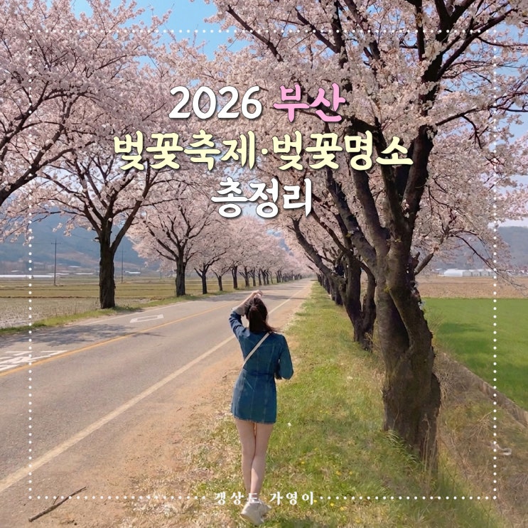  2026 부산 벚꽃축제 + 벚꽃명소 총정리