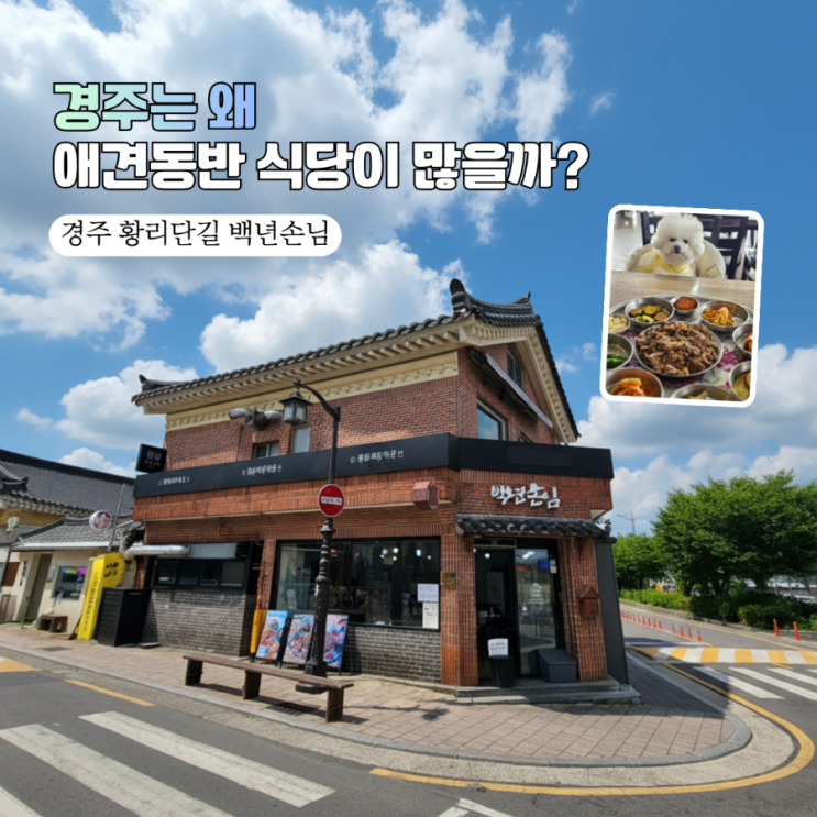  경주 황리단길 애견동반 식당 '백년손님' 솔직후기  (ft. 메뉴, 주차, 황남정 아쉬움)