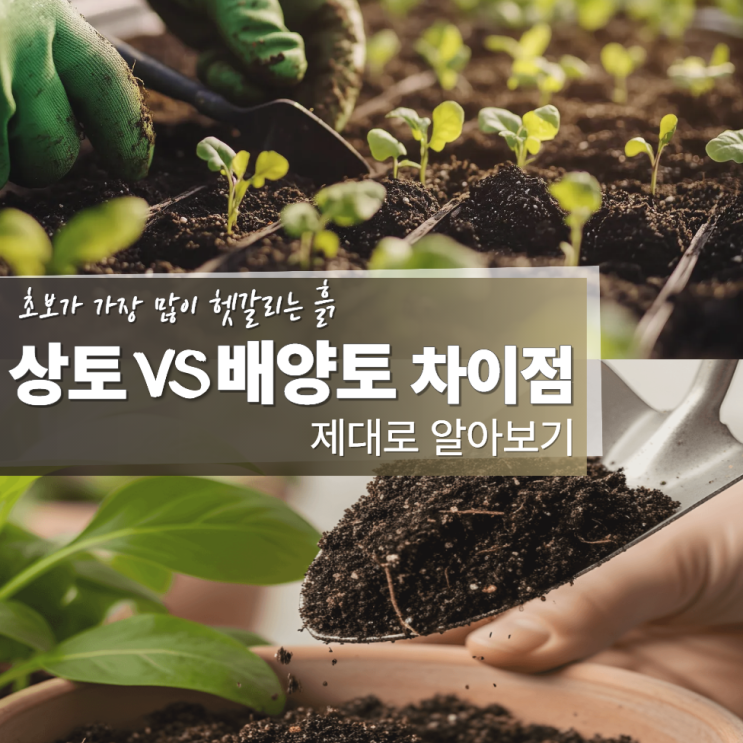  상토 배양토 차이 사용법 알아보기
