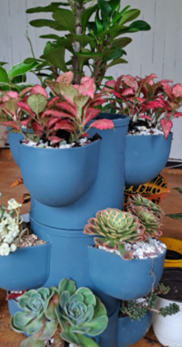 일상이 풍성하고 행복해지는 반려식물용품 전문 쇼핑몰 !