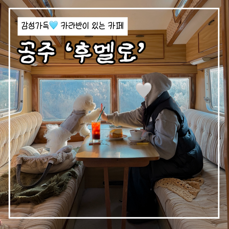 사진 6