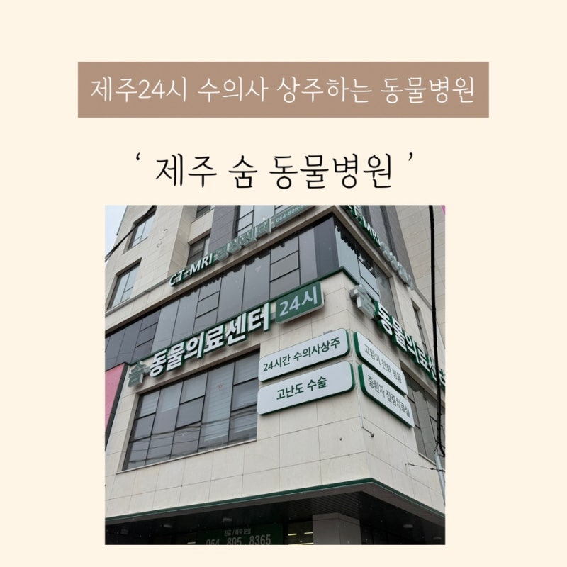 제주 24시 동물병원 수의사가 상주하는 제주숨동물의료센터 반려동물 건강검진 후기