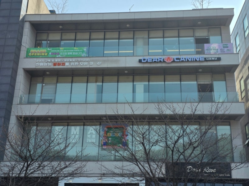 사진 5