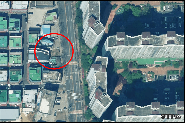아리산 사진 4