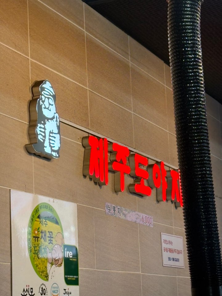 제주도야지 사진 2