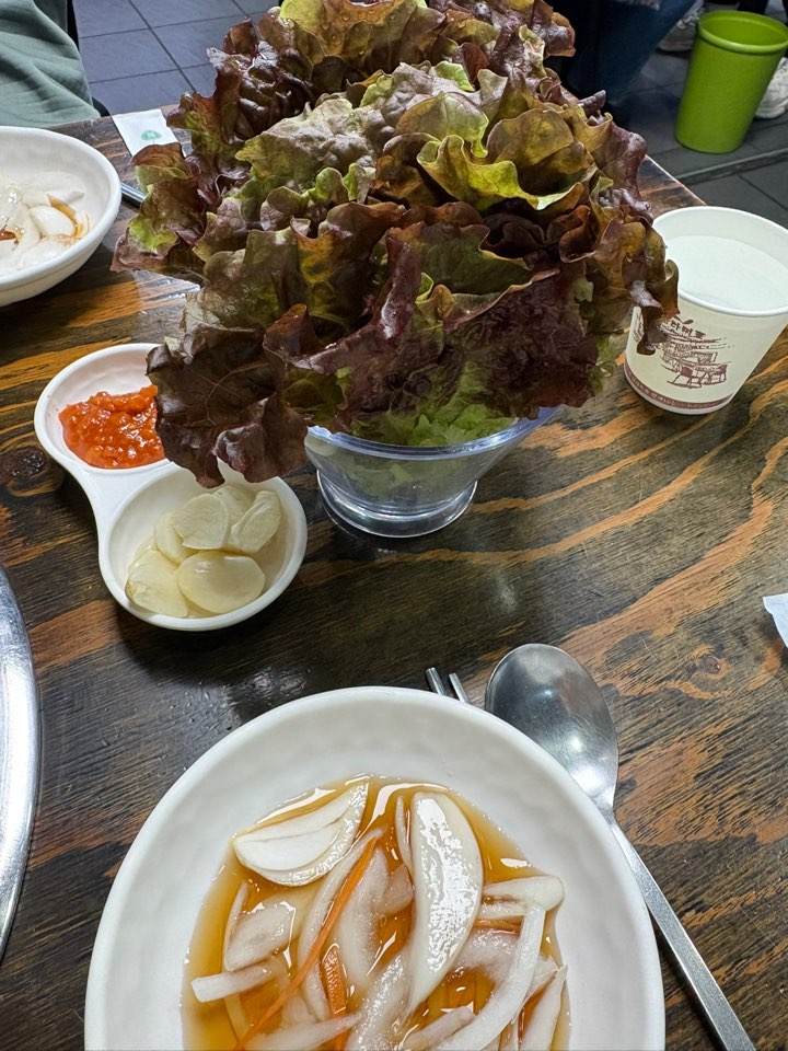 제주도야지 사진 4