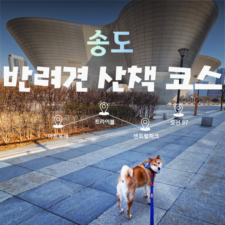  송도 반려견 산책 코스, 아트포레에서 트라이볼까지 직접 걸어본 동선 기록