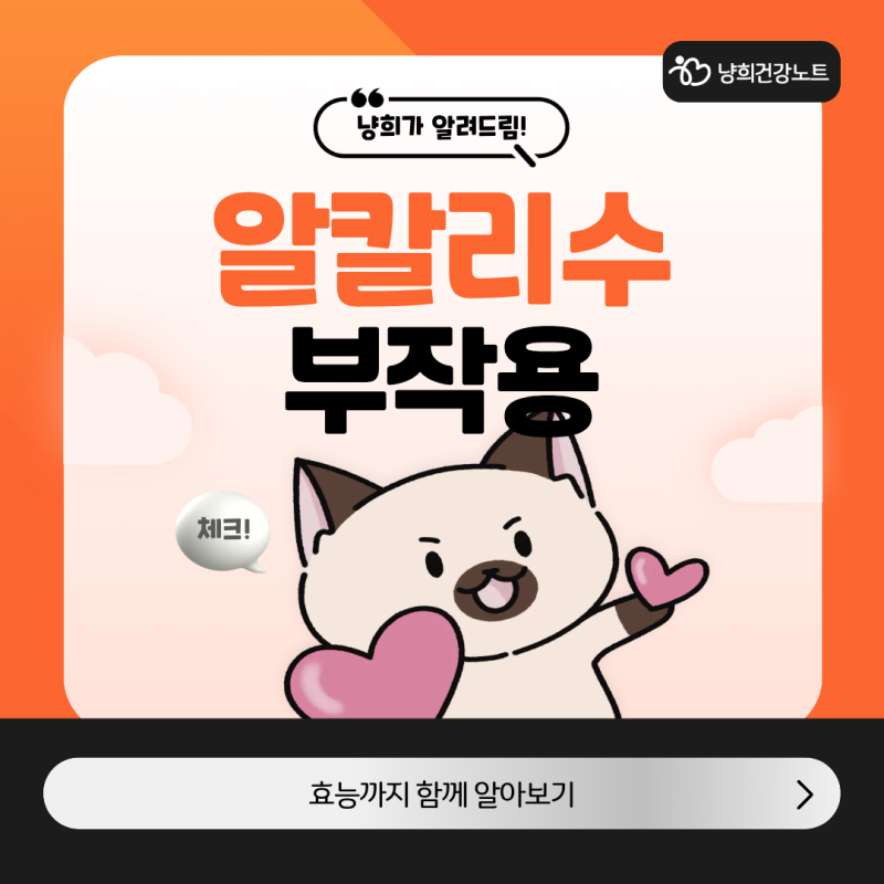 알칼리수 부작용과 효능은?