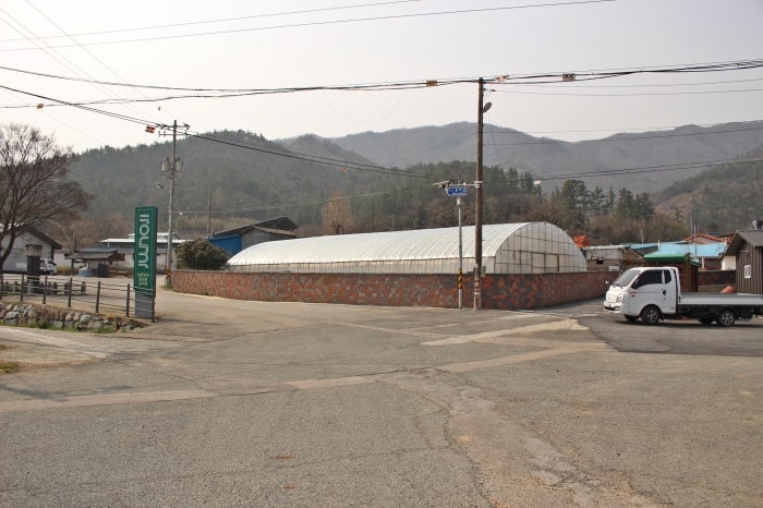 부용산 사진 6