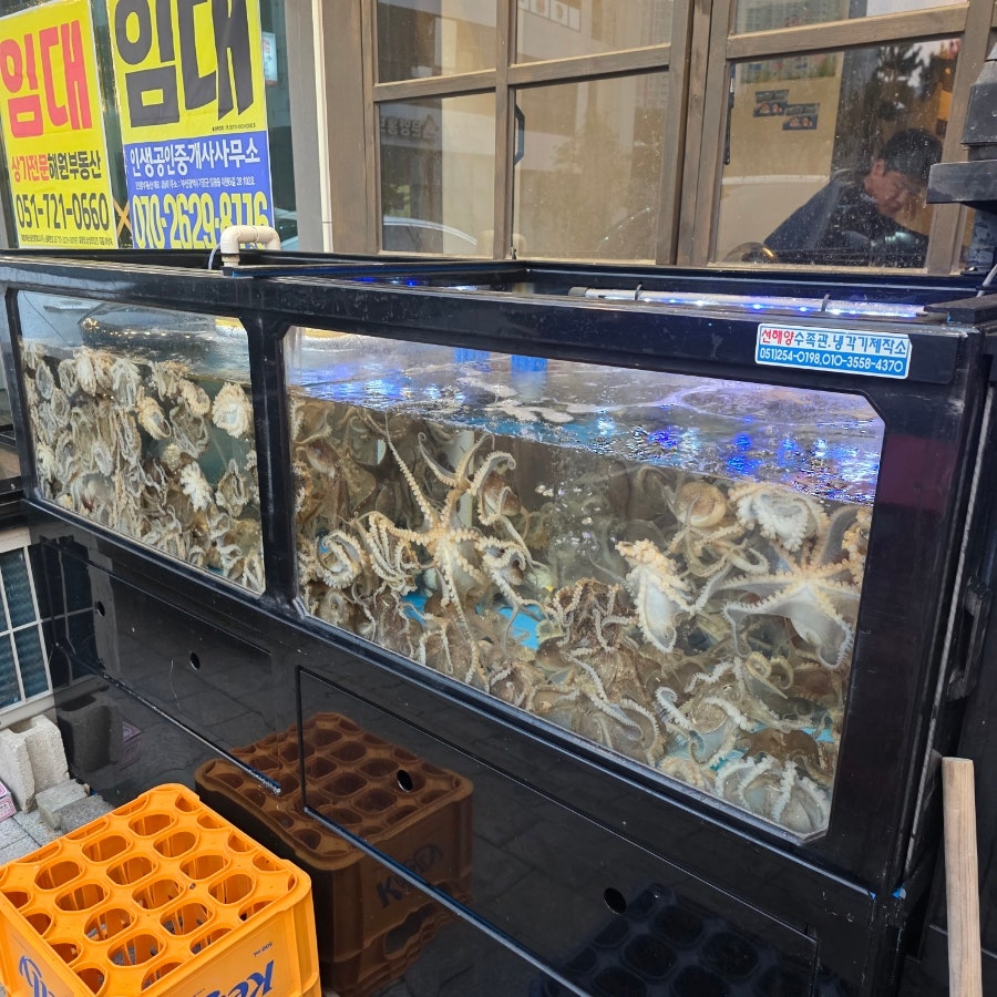 몽수산 사진 6