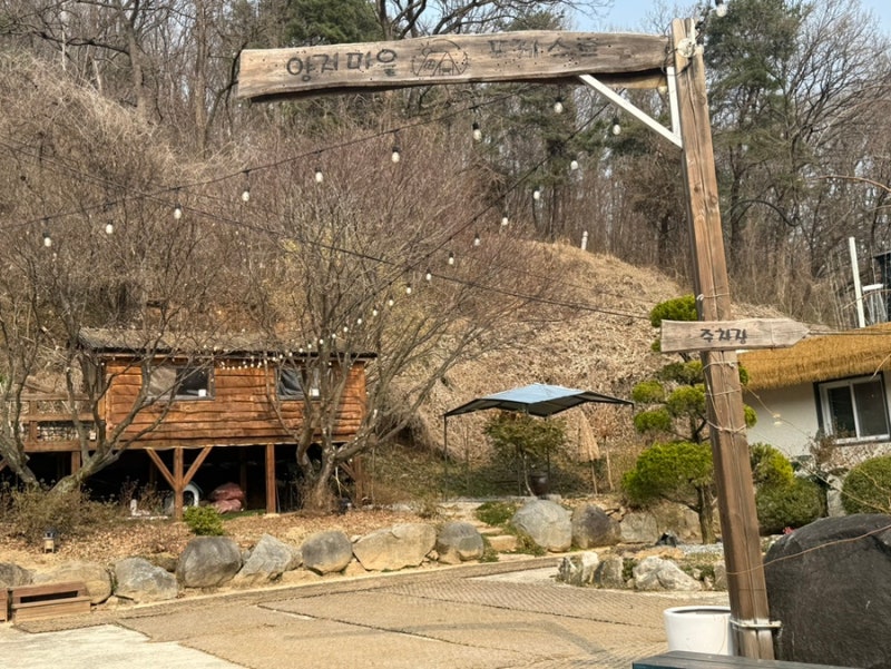 사진 5