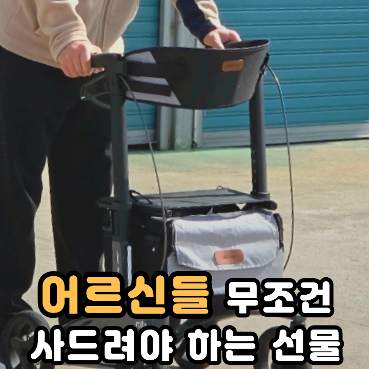  실버카 어르신보행기 롤즈 에어로 할아버지 생신선물 대성공