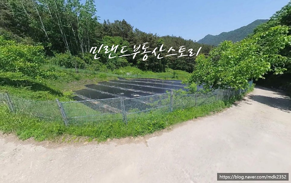 성주산 사진 1