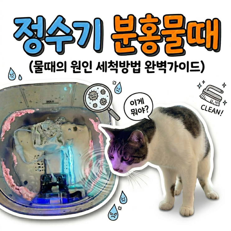  고양이 정수기 거품의 공포, 필터 믿고 일주일에 한번 세척하신다구요?