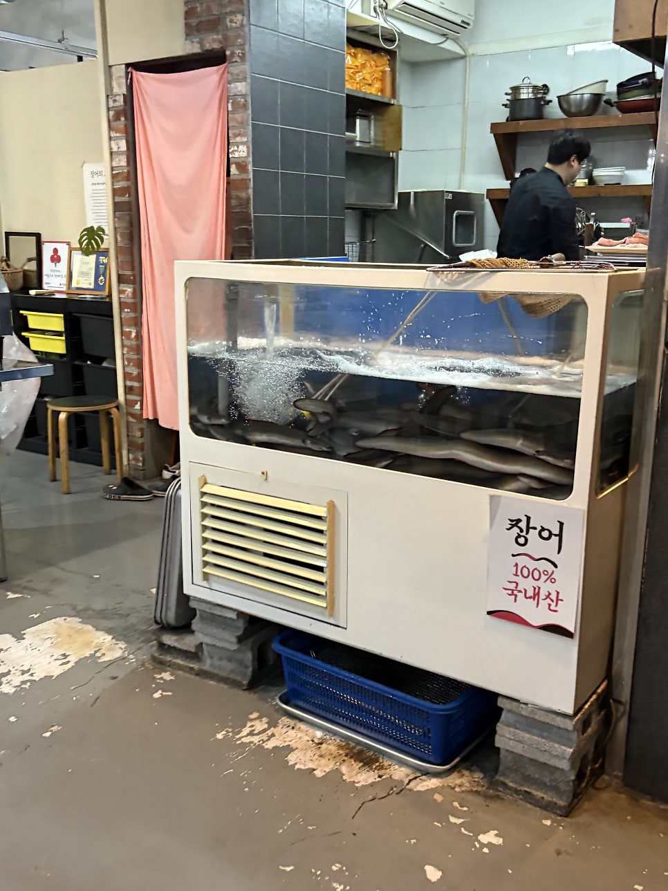 만강장어 사진 4