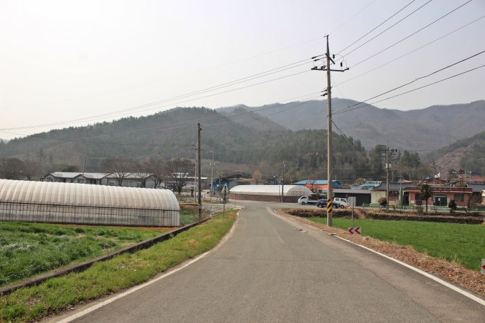 부용산 사진 4