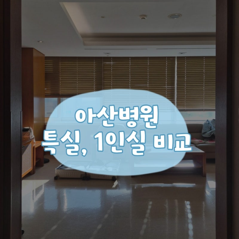 서울아산병원 특실, 1인실 비교 리뷰