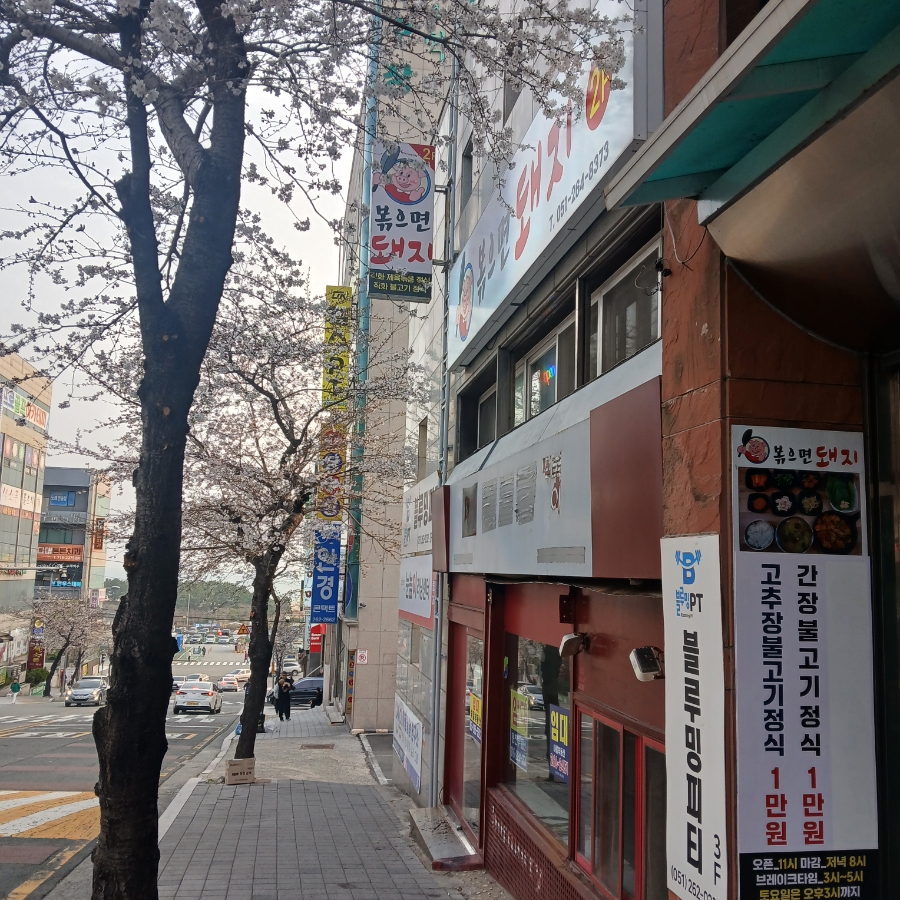 볶으면돼지 사진 2
