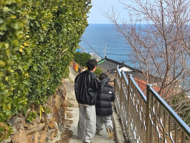  묵호 당일치기 가볼만한 곳 논골담길 소품샵 무코야 선물가게, 등대그집, 카페 말똥도나스 강추