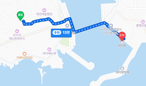 타이니위미 사진 3