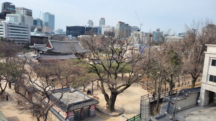  [서울 중구] 역성혁명, 난(亂)을 치(治)로 바꾸는 순간 (1) - 김종서 집터, 정도전 집터