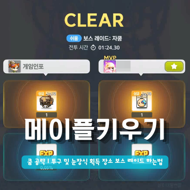  메이플키우기 자쿰 공략 | 투구 및 눈장식 획득 장소 보스 레이드 하는법