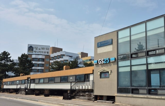 수향 사진 2