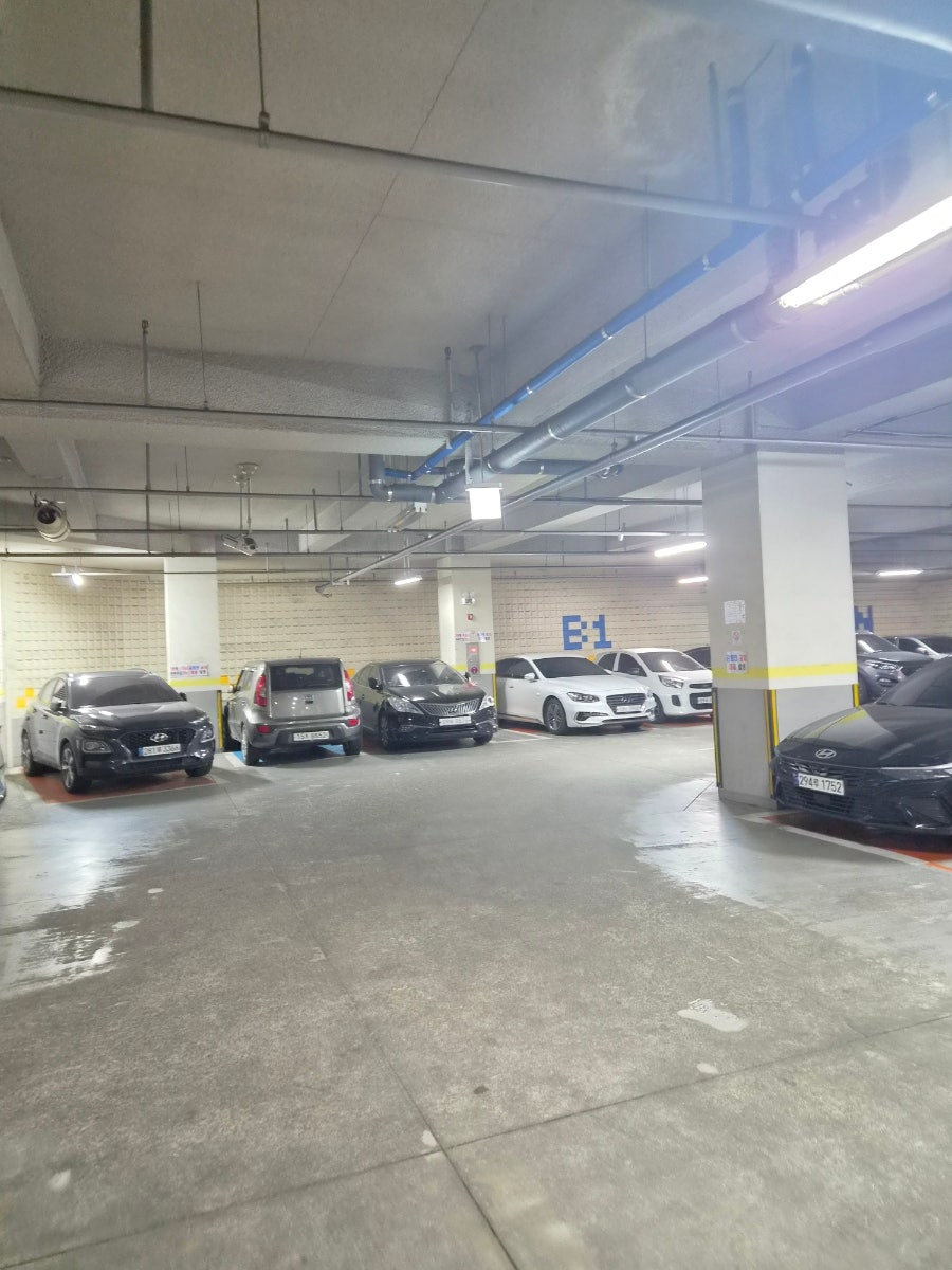 서부청기와감자탕 원흥점 사진 4