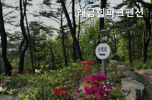 래금힐파크 사진 4