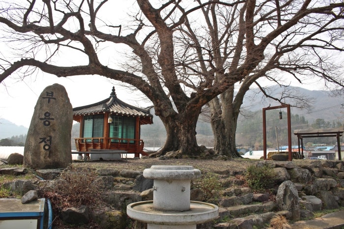 부용산 사진 3
