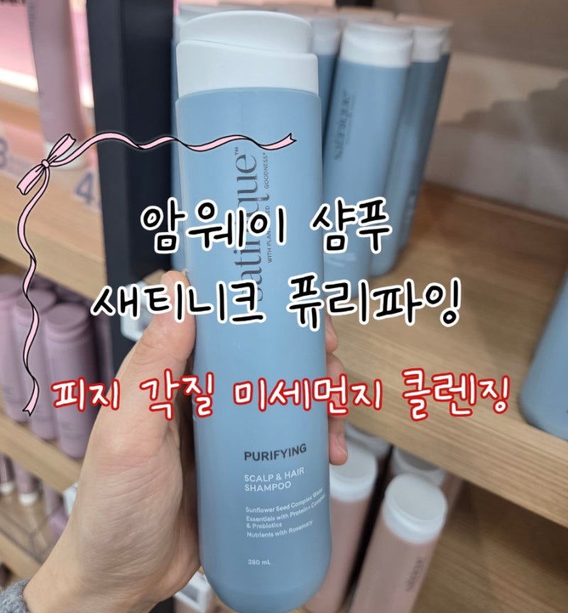암웨이 샴푸 새티니크 퓨리파잉 가격 정품 구매 방법