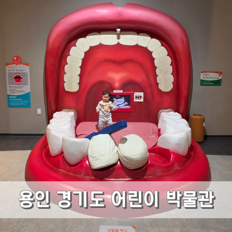 17개월 아기랑 용인 경기도어린이박물관 수유실 주차 할인 식당 입장료 후기