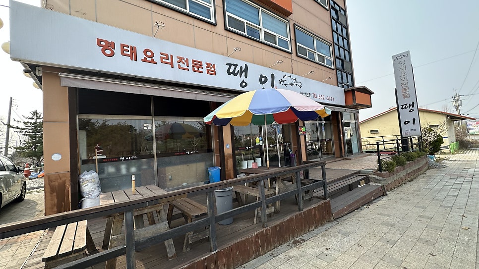 땡이 사진 1