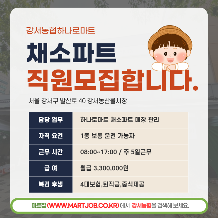  강서농협 하나로마트 채소파트 직원 모집 (월 330만원 / 주5일 / 안정적인 근무환경)