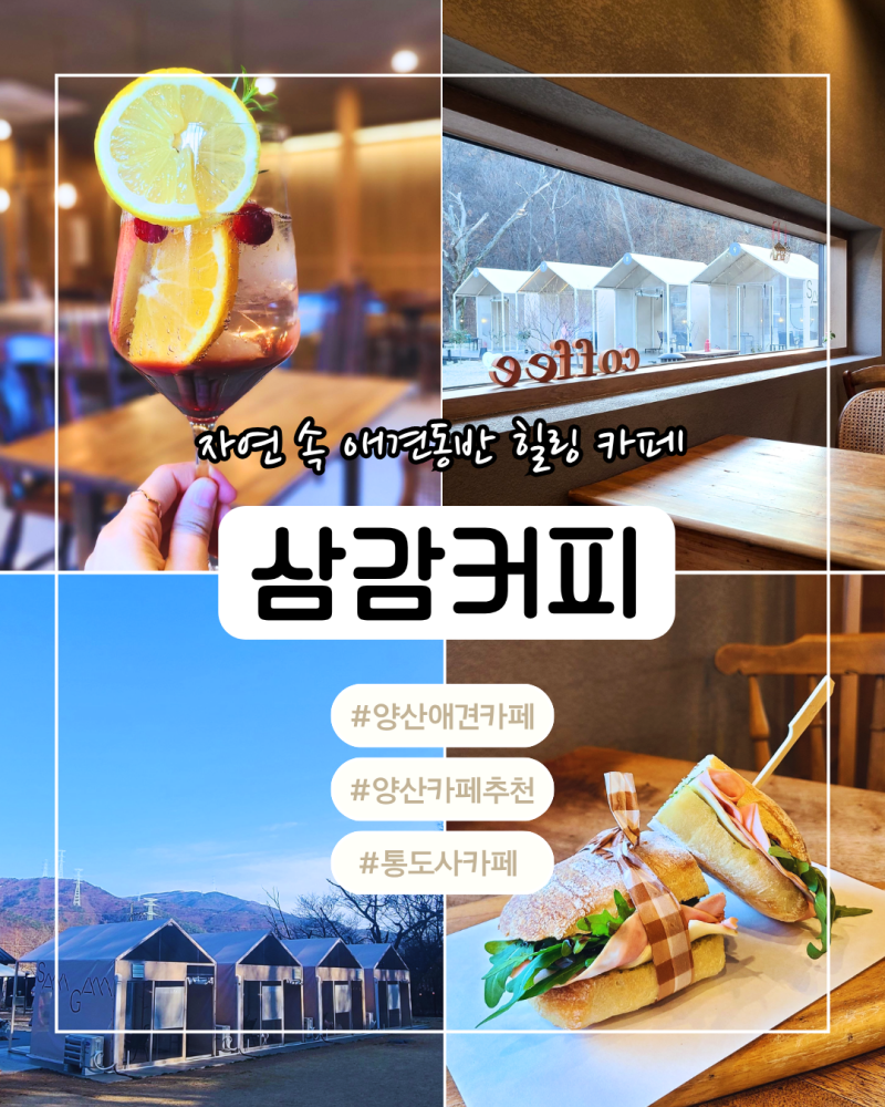 사진 3