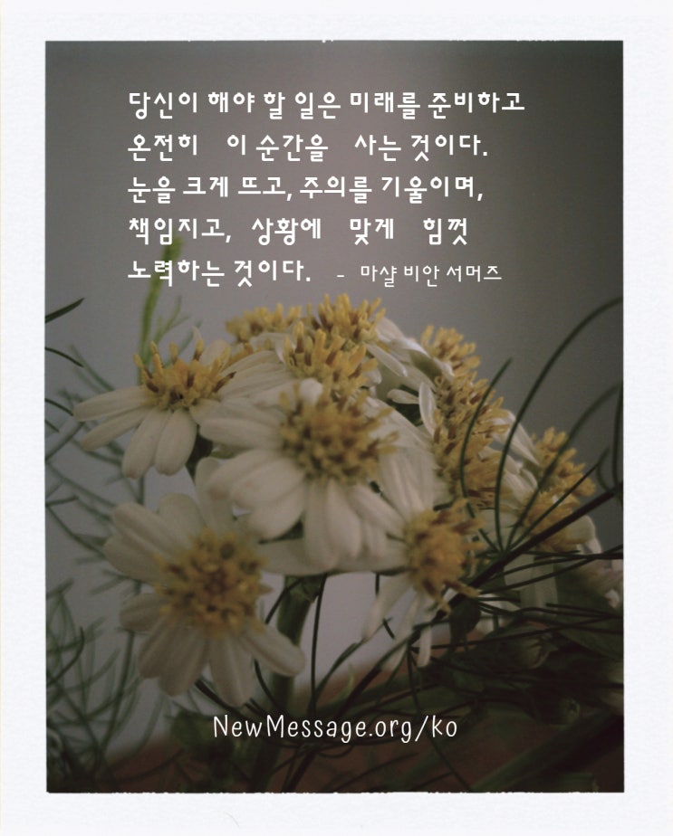  깊은 의미를 가진 것에만 관심을