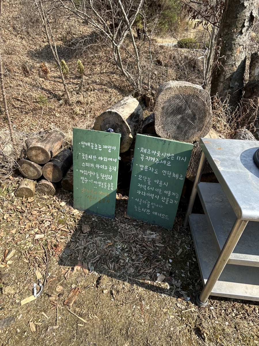 정배리베리 사진 3